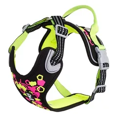 Hurtta petnešos šunims Weekend Warrior neon