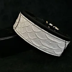 Bestia Hundehalsband Dragon Scale
