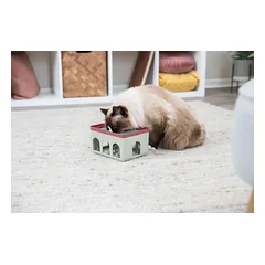 TRIXIE Cat Activity Rod Box strateginis žaidimas, 20x12x16 cm, 1 vnt. — 3 nuotrauka