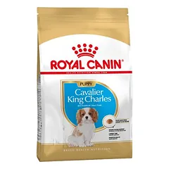 Royal Canin Cavalier King Charles Puppy sausas maistas šuniukams — 2 nuotrauka