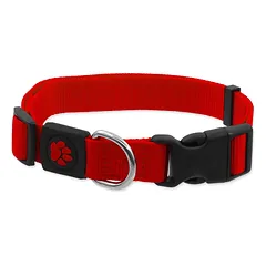 Active Dog Collar Premium S nailoninė apykaklė mažiems šunims, raudona, 1.5×27-37 cm — 4 nuotrauka