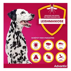 Advantix® 250 Spot-on šunims, 10-25 kg — 2 nuotrauka