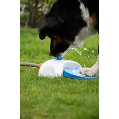 COOLPETS vandens fontanas šunims, baltas — 3 nuotrauka