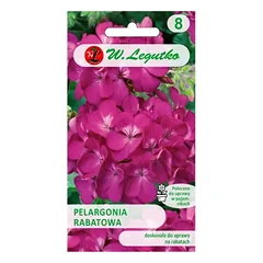 Gama F1 gėlių pelargonija - violetinė