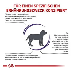 Royal Canin Expert Neutered Junior Medium Dogs sausas maistas šunims — 3 nuotrauka
