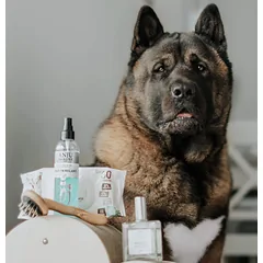 Anju Beauté žirklės nagams, S — 2 nuotrauka