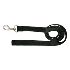 Hamilton Single Thick Short Leash - nailoninis pavadėlis mažų veislių šunims, plotis 16 mm, ilgis, Niebieski / 122cm — 5 nuotrauka