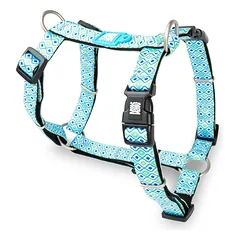 Max&Molly H - Retro petnešos - spalvingos petnešos šunims ir šuniukams, reguliuojamos, Blue / XS — 3 nuotrauka