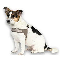 Max&Molly Q - Fit Harness Matrix 2.0 - lengvi įsegami šunų pakinktai su QR identifikatoriumi, smėlio spalvos, Piaskowy / S — 2 nuotrauka