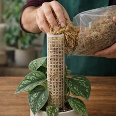 Happet Sphagnum (kiminų) samanos gyvūnams, 500 g — 4 nuotrauka