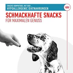 Royal Canin Hypoallergenic Snacks skanėstai šunims — 4 nuotrauka