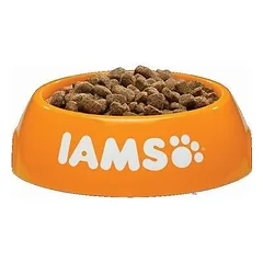 IAMS Cat Adult Indoor su vištiena, sausas maistas katėms 2 kg — 2 nuotrauka