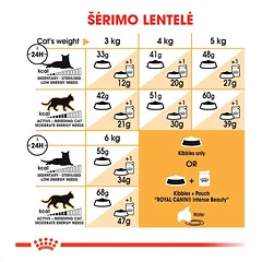 ROYAL CANIN Siamese sausas pašaras katėms, FBN 10kg — 4 nuotrauka