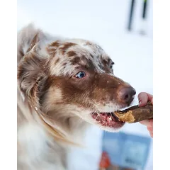 Four Friends Natural Snacks Beef Lung skanėstas šunims, džiovinti jautienos plaučiai, 800 g — 2 nuotrauka