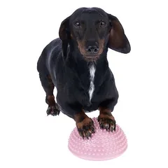 TIAKI Agility letenų stoveliai šunims, 4 vnt.: Ø 16 x H 8,5 cm — 3 nuotrauka