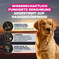 Eukanuba Adult Breed Care Golden Retriever, sausas maistas šunims — 3 nuotrauka