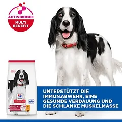 Hill's Science Plan Adult 1-6 Medium su vištiena, sausas maistas šunims, > 10 kg — 4 nuotrauka
