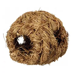 Pintas graužikų namas
