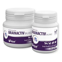 BRAINACTIV papildas nervų sistemos palaikymui 30 kaps.