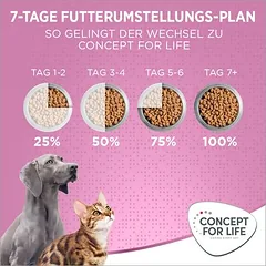Concept for Life Kitten su jautiena, begrūdis, padaže, drėgnas maistas kačiukams — 5 nuotrauka