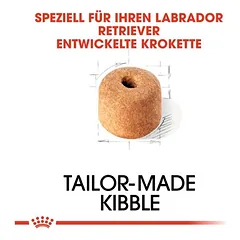 Royal Canin Labrador Retriever Adult sausas maistas šunims, > 10 kg — 3 nuotrauka