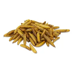 JR Farm Hermetia / juodosios kareivinės musės lervos, kibiras, 400 g — 3 nuotrauka