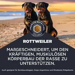 Eukanuba Adult Breed Care Rottweiler, sausas maistas šunims — 2 nuotrauka