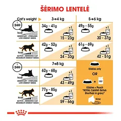 ROYAL CANIN British Shorthair sausas pašaras katėms, FBN 2kg — 4 nuotrauka