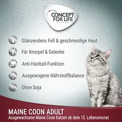 Concept for Life Maine Coon Adult (ragu kokybės), drėgnas maistas katėms — 2 nuotrauka