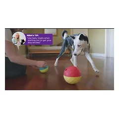 Nina Ottosson Treat Tumble (11 cm) - loginis žaislas šunims, skanėstų kamuolys, lygis — 2 nuotrauka