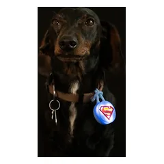 DC Superman Halsbandlicht