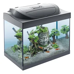 Starter Line LED Crayfish akvariumo rinkinys