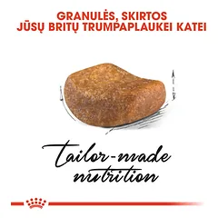 ROYAL CANIN FBN British Shorthair sausas maistas Britų trumpaplaukėms katėms 2 kg — 3 nuotrauka