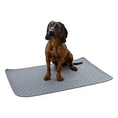 Kerbl Pet Waschbare Urinunterlage, grau