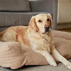 DOGESTE Teddy XXL smėlio spalvos šuns guolis, 118 × 78 cm, su nemokamu personalizavimu — 2 nuotrauka