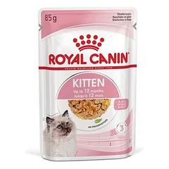 Royal Canin Kitten in Gelee