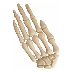 Trixie Halloween Hand with Chicken for dogs (15 cm) 70 g