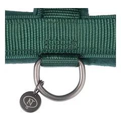 Nomad Tales Blush petnešos šunims, emerald, Dydis XS: 34–49 cm krūtinės apimtis, 15 mm pločio — 4 nuotrauka