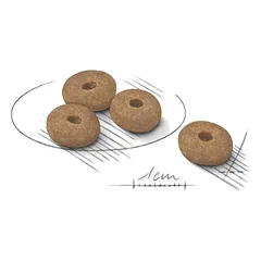 ROYAL CANIN Mini Light Weight sausas pašaras šunims, SHN 3kg — 2 nuotrauka