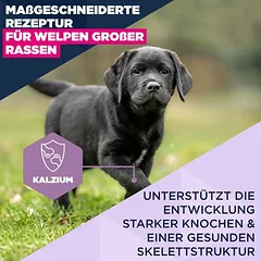 Eukanuba Premium Nutrition Puppy Large & Giant Breed su vištiena, sausas maistas šuniukams, > 10 kg — 4 nuotrauka