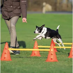 TRIXIE Dog Activity barjerai šunims trijų dalių rinkinys