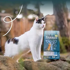 Yarrah Bio su ekologiška vištiena ir žuvimi, sausas maistas katėms, 1,5 - 2,9 kg — 3 nuotrauka