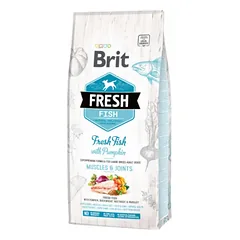 Brit Fresh Fish with Pumpkin Adult Large sausas maistas didelių veislių šunims su žuvimi