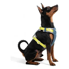 Woolly Wolf Alpha 360 Harness Deep Teal Mix  petnešos šunims iš perdirbto plastiko, M — 4 nuotrauka