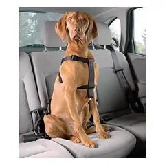 Europet Bernina D&D Dog-Secure krūtinės apimties petnešos šunims XS 20-50 cm — 2 nuotrauka