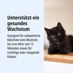 Virbac Veterinary HPM Baby Pre-Neutered Cat, sausas maistas katėms, 3 - 4,9 kg — 3 nuotrauka