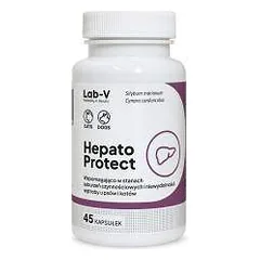 Lab-V Hepato Protect kepenų funkcijos palaikymas šunims ir katėms, N45