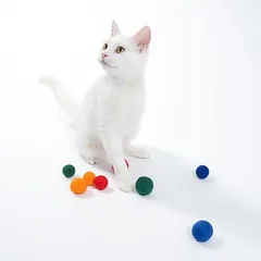 zooplus Basics žaislas katėms, veltiniai kamuoliukai, 8 vnt. rinkinys (4 x Ø 4 cm, 4 x Ø 3 cm) — 2 nuotrauka