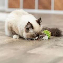 Trixie žaislas katėms Matatabi Lolli XXL, 1 vnt. — 3 nuotrauka