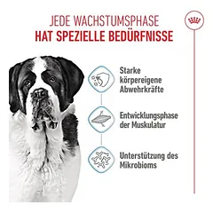 Royal Canin Giant Junior — 3 nuotrauka